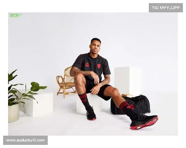 芝华士携手阿森纳推出限量版威士忌球迷派盛宴正式开启 芝华士携手阿森纳推出限量版威士忌球迷派盛宴正式开启