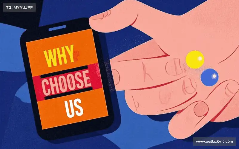 定制化解决方案